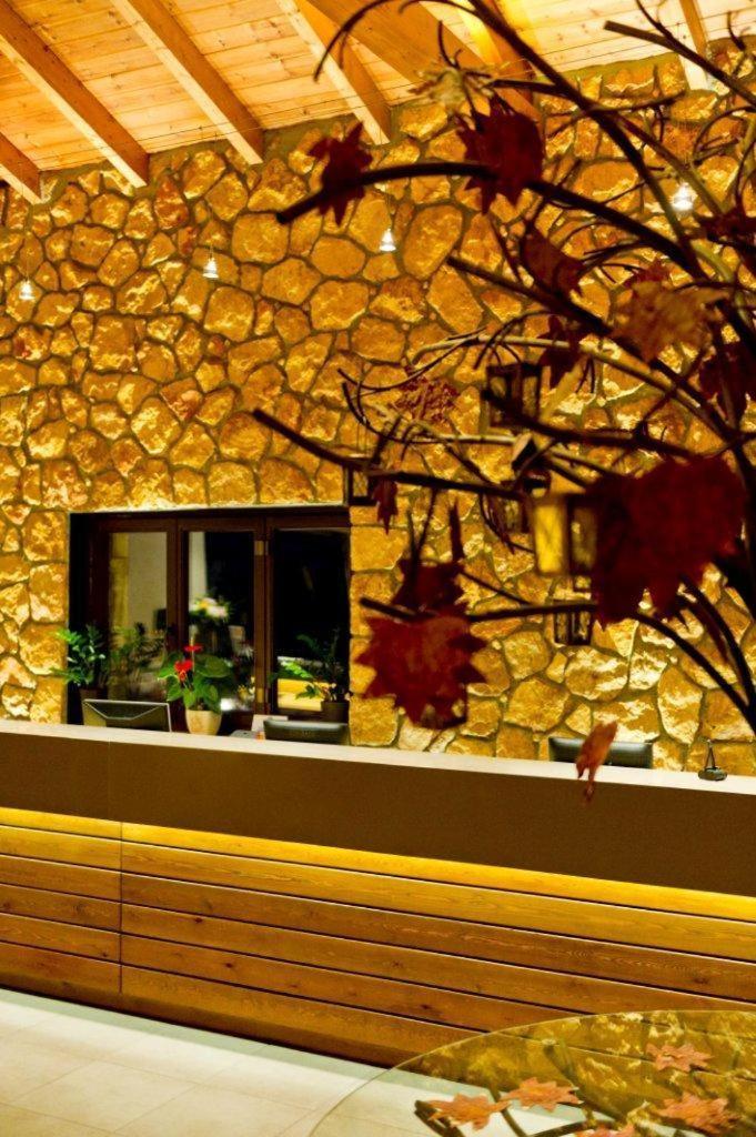 Pliadon Gi Mountain Resort & Spa Kato Sinikia Trikalon Ngoại thất bức ảnh